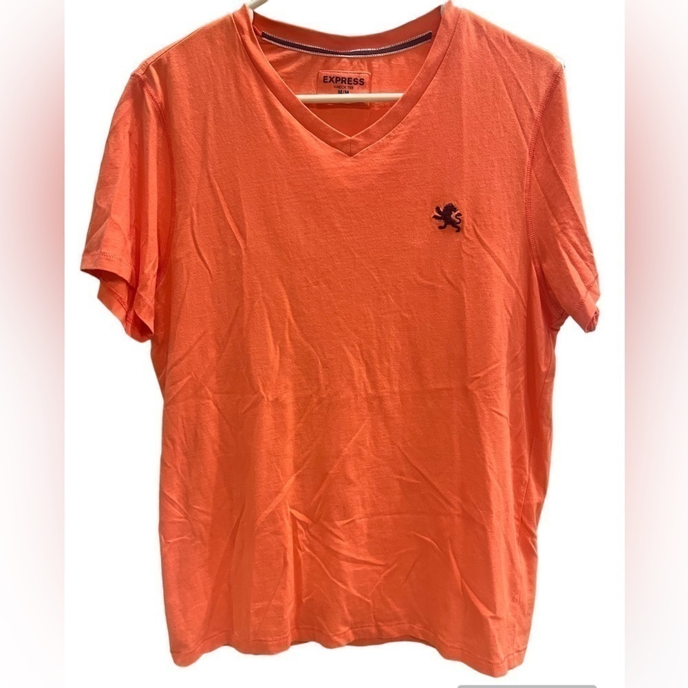Express v neck tee